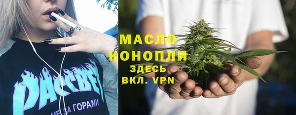сатива Ельня