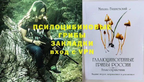 альфа пвп Богородицк