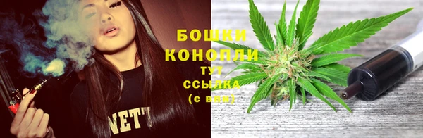 гидропоника Богданович