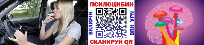 это наркотические препараты  наркошоп  Павловск  Псилоцибиновые грибы ЛСД 